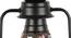 Daisy Multicolor Metal Wall Mounted Lantern Lamp (Multicolor) by Urban Ladder - Design 1 Side View - 495489