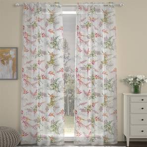 rosarahome Multicolor Polyester Sheer Door Curtain-picture-13