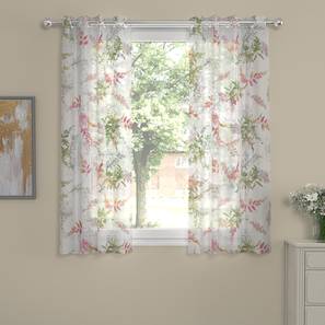 Window Curtains Design Multicolor Polyester Sheer Window Curtain