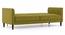 Felicity Sofa Cum Bed (Olive Green) by Urban Ladder - Rear View Design 1 - 497760