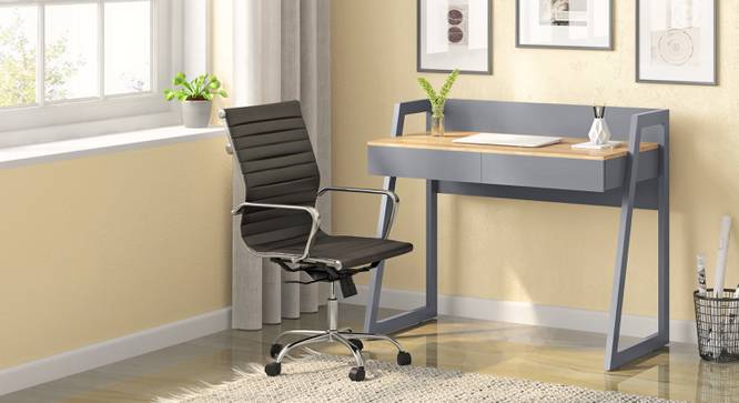 Charles Study Chair - 2 Axis Adjustable (Black) by Urban Ladder - Design 1 - 497794