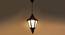 Petra Hanging Light (White & Brown) by Urban Ladder - Front View Design 1 - 500178