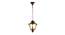 Dove Hanging Light (Copper, Brown) by Urban Ladder - Front View Design 1 - 500683