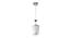 Harlyn Hanging Light (Silver) by Urban Ladder - Front View Design 1 - 500700