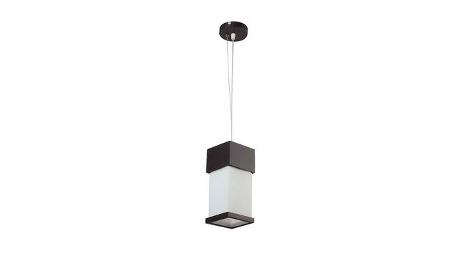 Wynn Hanging Light (Black) by Urban Ladder - Front View Design 1 - 500701
