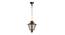 Dove Hanging Light (Copper, Brown) by Urban Ladder - Cross View Design 1 - 500711