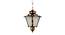 Dove Hanging Light (Copper, Brown) by Urban Ladder - Design 1 Side View - 500724