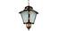 Dove Hanging Light (Copper, Brown) by Urban Ladder - Rear View Design 1 - 500738