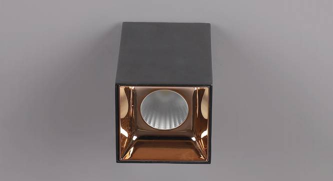 Dashiell Ceiling Light (Dull Gold) by Urban Ladder - Front View Design 1 - 500790
