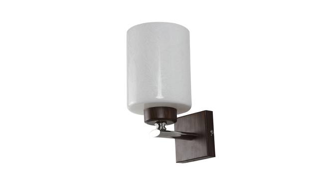 Levi Outdoor Light (Brown & Chrome, Acrylic Shade Material, Brown, Chrome Shade Color) by Urban Ladder - Front View Design 1 - 500890