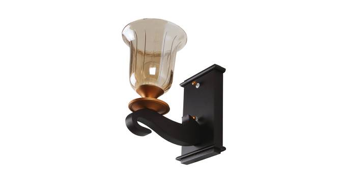 Cassius Outdoor Light (Dark Brown, Acrylic Shade Material, Brown Dark Shade Color) by Urban Ladder - Front View Design 1 - 501117
