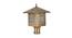 Noah Outdoor Light (Antique Gold, Antique Gold Shade Color, Acrylic Shade Material) by Urban Ladder - Cross View Design 1 - 501401