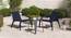 Palma Patio Chair - Set of 2 (Navy) by Urban Ladder - Full View Design 1 - 510397