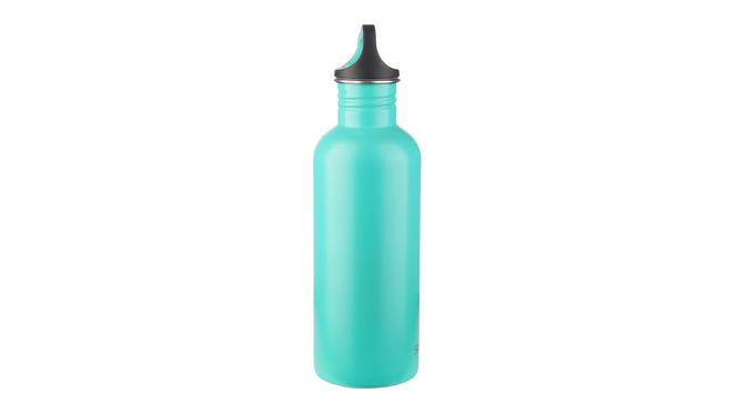 Robin Blue Stainless Steel 1000ml Water Bottle (Blue) by Urban Ladder - Front View Design 1 - 515016