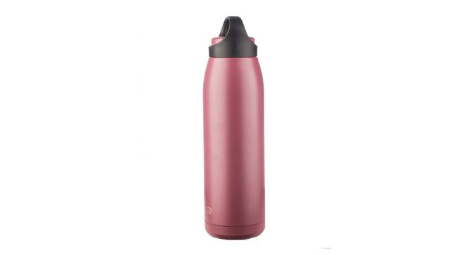 Rosa Purple Stainless Steel 700ml Water Bottle (Purple) by Urban Ladder - Front View Design 1 - 515108