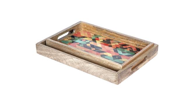 Puanani Trays - Set of 2 (Set Of 2 Set, Multicolor) by Urban Ladder - Front View Design 1 - 516156