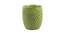 Rufus Ceramic Tea/ Coffee Mugs Set - Set of 4 (Green, Set Of 4 Set) by Urban Ladder - Design 2 Side View - 517352