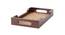 Lina Hand Made Ethnic Tray (Brown, Set of 1 Set) by Urban Ladder - Design 2 Side View - 518916