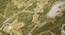 Zhuri Olive Green  Floral Hand-Tufted Wool 6x4 Feet Carpet (Rectangle Carpet Shape, Olive Green) by Urban Ladder - Design 1 Close View - 520048