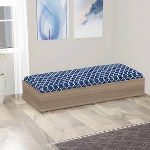 Single Box Bed Design Ankara Engineered Wood Single Size Box Storage Upholstered Bed in Melamine Finish