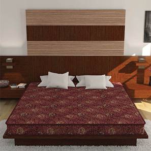 Mattresses Bedding In Patna Design Joy - Coir Foam Double Size Mattress (4 in Mattress Thickness (in Inches), 78 x 48 in (Standard) Mattress Size, Double)