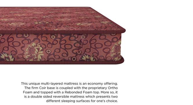 Joy - Coir Foam Double Size Mattress (4 in Mattress Thickness (in Inches), 78 x 48 in (Standard) Mattress Size) by Urban Ladder - Front View Design 1 - 524605