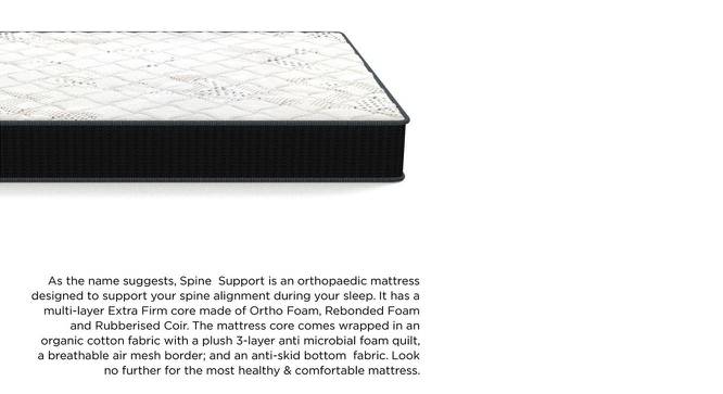 Spine Support Orthopaedic Multi Layered Double Coir Mattress (6 in Mattress Thickness (in Inches), 78 x 48 in (Standard) Mattress Size) by Urban Ladder - Front View Design 1 - 524921