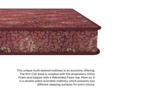 Joy - Coir Foam King Size Mattress (4 in Mattress Thickness (in Inches), 75 x 72 in Mattress Size) by Urban Ladder - Front View Design 1 - 524924