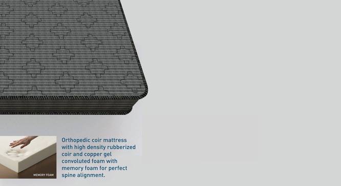 Ortho Active Orthopedic King Size Coir Memory Foam Mattress (78 x 72 in (Standard) Mattress Size, 6 in Mattress Thickness (in Inches)) by Urban Ladder - Cross View Design 1 - 524936
