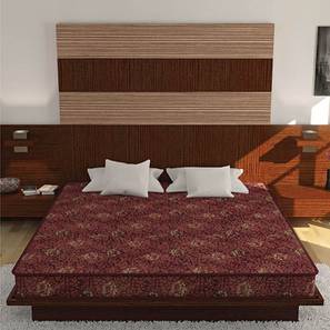 Joy - Coir Foam King Size Mattress-image-19