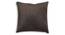 Javier Brown Solid 16 x 16 Inches Velvet Cushion Cover (Brown, 41 x 41 cm  (16" X 16") Cushion Size) by Urban Ladder - Front View Design 1 - 525149