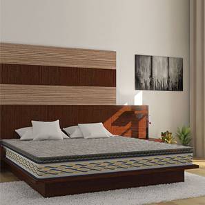 King Size Mattress Design Back Sport Orthopedic Coir Foam King Size Mattress (King, 78 x 72 in (Standard) Mattress Size, 6 in Mattress Thickness (in Inches))