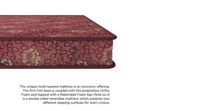 Joy - Coir Foam Queen Size Mattress (72 x 60 in Mattress Size, 4 in Mattress Thickness (in Inches)) by Urban Ladder - Front View Design 1 - 525221