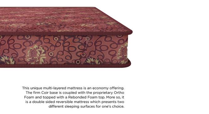 Joy - Coir Foam Queen Size Mattress (78 x 60 in (Standard) Mattress Size, 4 in Mattress Thickness (in Inches)) by Urban Ladder - Front View Design 1 - 525490