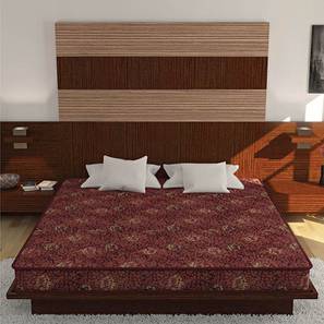 Joy - Coir Foam Single Size Mattress-image-17
