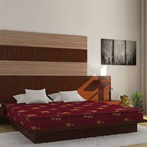 Bubble - Budget Double Coir Queen Size Mattress-image-43