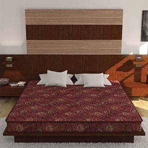 Coir Mattress Design Joy - Coir Foam Single Size Mattress (Single, 4 in Mattress Thickness (in Inches), 72 x 36 in Mattress Size)