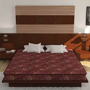 Joy - Coir Foam Single Size Mattress-image-13