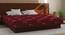 Bubble - Budget Double Coir Queen Size Mattress (72 x 60 in Mattress Size, 4 in Mattress Thickness (in Inches)) by Urban Ladder - Design 1 Full View - 525764