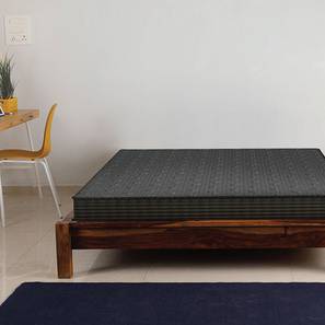 Ortho Active Orthopedic Single Size Coir Memory Foam Mattress-image-11