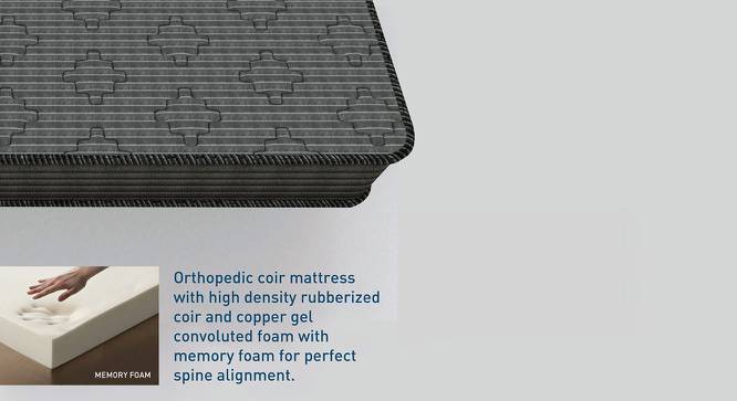 Ortho Active Orthopedic Single Size Coir Memory Foam Mattress (78 x 36 in (Standard) Mattress Size, 6 in Mattress Thickness (in Inches)) by Urban Ladder - Cross View Design 1 - 525882