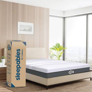 Centuary Design Sleepables Bonnell Spring Single Size Mattress with Antimicrobial Foam (Single, Single, 75 x 36 in Mattress Size, 6 in Mattress Thickness (in Inches))