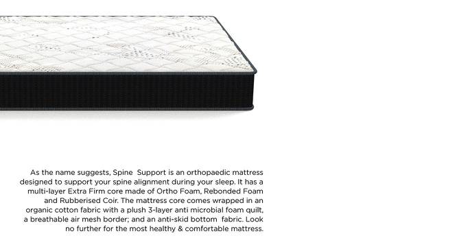 Spine Support Orthopaedic Multi Layered Single Coir Mattress (6 in Mattress Thickness (in Inches), 72 x 30 in Mattress Size) by Urban Ladder - Front View Design 1 - 526050