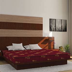 Bubble - Budget Double Coir Single Size Mattress-image-5