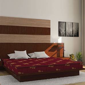 Bubble - Budget Double Coir Single Size Mattress-image-11