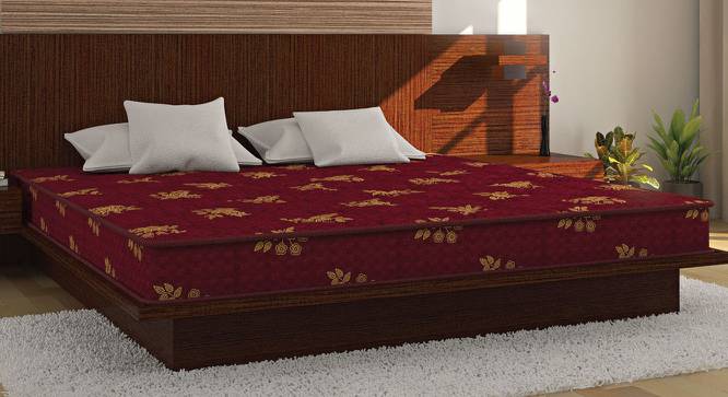 Bubble - Budget Double Coir Single Size Mattress (4 in Mattress Thickness (in Inches), 78 x 30 in Mattress Size) by Urban Ladder - Design 1 Full View - 526128