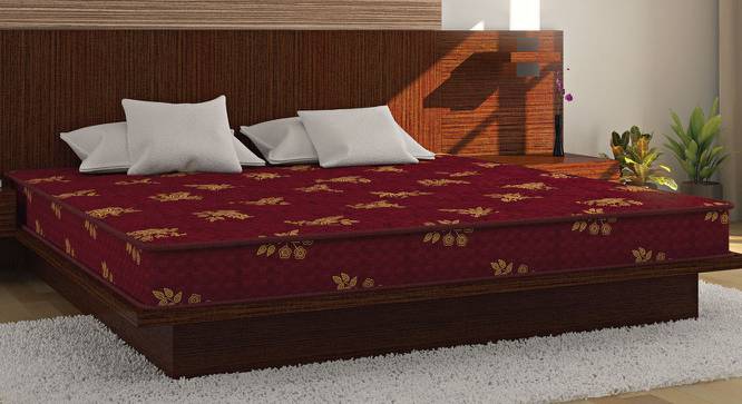 Bubble - Budget Double Coir Single Size Mattress (78 x 36 in (Standard) Mattress Size, 4 in Mattress Thickness (in Inches)) by Urban Ladder - Design 1 Full View - 526129