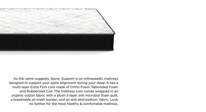 Spine Support Orthopaedic Multi Layered Single Coir Mattress (6 in Mattress Thickness (in Inches), 75 x 30 in Mattress Size) by Urban Ladder - Front View Design 1 - 526142