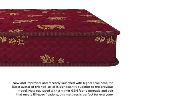 Bubble - Budget Double Coir Single Size Mattress (4 in Mattress Thickness (in Inches), 78 x 30 in Mattress Size) by Urban Ladder - Front View Design 1 - 526144