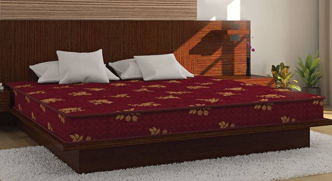 Bubble - Budget Double Coir Single Size Mattress (4 in Mattress Thickness (in Inches), 72 x 30 in Mattress Size) by Urban Ladder - Design 1 Full View - 526214